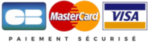 Payement par VISA, Mastercard, AMEX, Maestro, Paypal