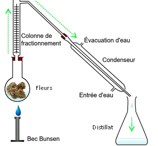 Un distillateur pour procéder à l'extraction du cannabis