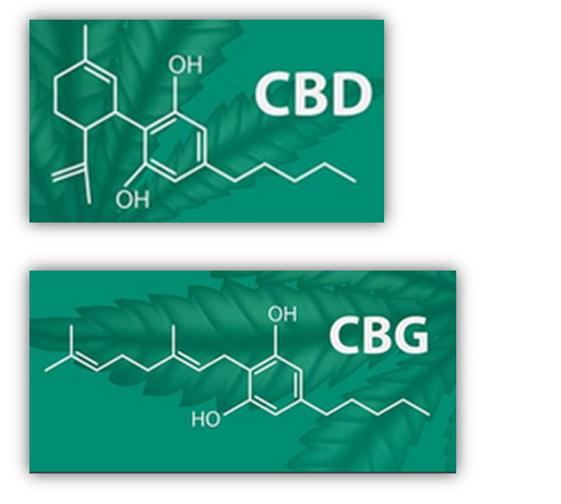 La molécule du CBG - formule chimique