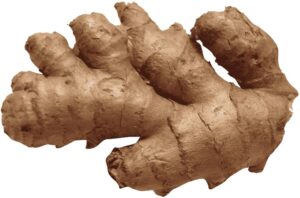 Ginseng pour la représentation de l'énergie et stimulé